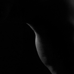 4ea01924ba6e52