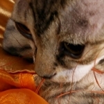 IMG-0837