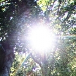 a28