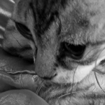 IMG-0837